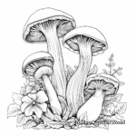 Adult Coloring Pages Featuring Chanterelle Mushroom 1