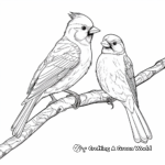 Adult Detailed Cardinal Coloring Pages 3