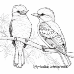 Adult Kookaburra and Chick Coloring Pages 2