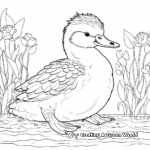 Adult Kookaburra and Chick Coloring Pages 4