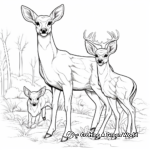 Detailed Browning Buck and Doe Coloring Pages 2