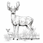 Adults' Detailed Browning Buck and Doe Coloring Pages 3