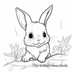 Adventurous Baby Bunny Exploring Coloring Pages 3