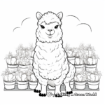 Alpaca Coloring Pages Depicting High-Quality Wool Production 1