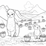 Alpaca Coloring Pages Depicting High-Quality Wool Production 3
