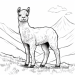 Alpacas In the Andes Mountains Coloring Pages 3