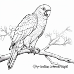 Amazonian Macaw Species: Diversity Coloring Pages 1