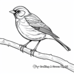 American Robin Coloring Pages for Children 1
