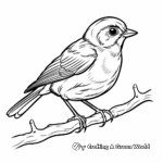 American Robin Coloring Pages for Children 3