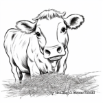 Animal Eating Hay Coloring Pages 3