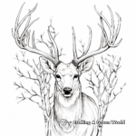 Antler Detail Coloring Pages: Male Deer and Elks 1