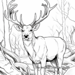 Antler Detail Coloring Pages: Male Deer and Elks 2