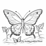 April Butterfly Life Cycle Coloring Pages 2
