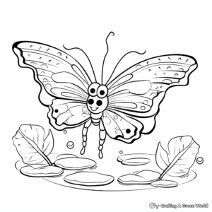 April Butterfly Life Cycle Coloring Pages 4