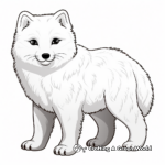 Arctic Fox in Different Seasons Coloring Pages 1