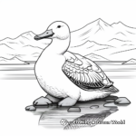 Arctic Loon Coloring Pages for Creative Minds 1