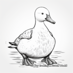 Arctic Loon Coloring Pages for Creative Minds 3