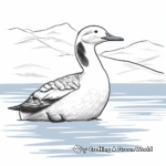 Arctic Loon Coloring Pages for Creative Minds 4