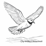 Arctic Tern Migration Coloring Pages 1