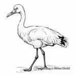 Artistic Chilean Flamingo Coloring Pages 2