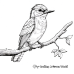 Artistic Kingfisher Sketch Coloring Pages 2