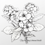 Artistic Rough-Leaved Hydrangea Coloring Pages 1