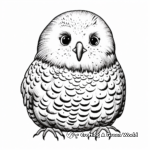 Artistic Sketch-style Budgie Coloring Pages 4