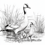 Artistic Stylized Canada Geese Coloring Pages 1