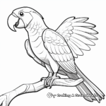 Artistic Stylized Scarlet Macaw Coloring Pages 1