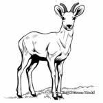 Artsy Bighorn Sheep Silhouette Coloring Pages 4