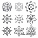 Assorted Snowflakes: Variety Pack Coloring Pages 1