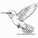 Astonishing Hummingbird and Bee Coloring Pages 1