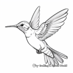 Astonishing Hummingbird and Bee Coloring Pages 2