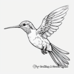 Astonishing Hummingbird and Bee Coloring Pages 4