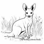 Páginas para colorear del Wallaby australiano 1
