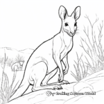 Páginas para colorear del Wallaby australiano 3