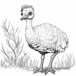 Australia's Native Bird: Emu Coloring Pages 1