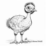 Australia's Native Bird: Emu Coloring Pages 2