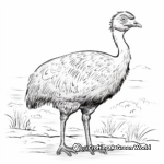Australia's Native Bird: Emu Coloring Pages 3