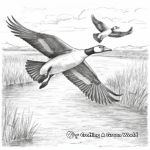 Autumn Flight of Canada Geese Coloring Pages 1