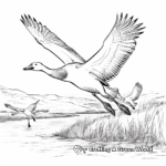 Autumn Flight of Canada Geese Coloring Pages 2