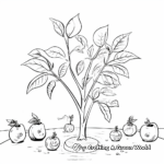 Avocado Life Cycle Coloring Pages for Educators 1
