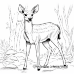 Axis Deer in Their Natural Habitat Coloring Pages 3