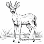 Axis Deer in Their Natural Habitat Coloring Pages 4