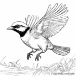 Baby Black Capped Chickadee Learning to Fly Coloring Pages 2