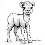 Baby Camel Coloring Pages for Toddlers 1