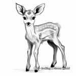 Baby Deer Fawn Coloring Pages 4