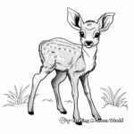 Baby Deer in the Forest Coloring Pages 2