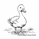 Baby Flamingo Coloring Pages for Children 3