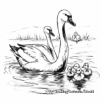 Baby Swan (Cygnets) Coloring Pages for Children 1